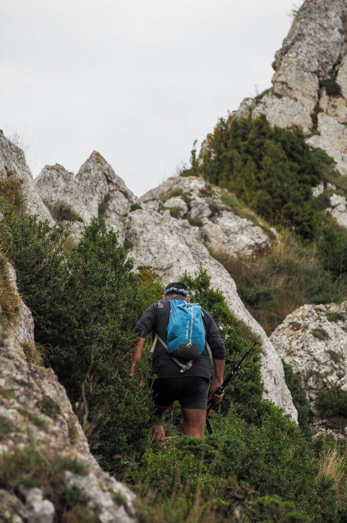 8f49f4a2-6220-43e7-a43a-21f7d4e10c92